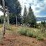  Terreno (Parcela) en venta en Maule, Vichuquen, Curicó, Maule