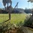 6 Bedroom House for sale in Las Cabras, Cachapoal, Las Cabras