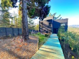  Land for rent in Chile, Casa Blanca, Valparaiso, Valparaiso, Chile