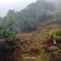  Land for sale in Calnali, Hidalgo, Calnali