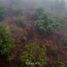  Land for sale in Calnali, Hidalgo, Calnali