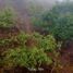  Land for sale in Calnali, Hidalgo, Calnali