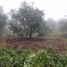  Land for sale in Calnali, Hidalgo, Calnali