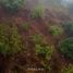  Land for sale in Calnali, Hidalgo, Calnali