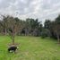  Terreno (Parcela) en venta en Monte, Buenos Aires, Monte