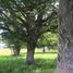  Terreno (Parcela) en venta en Chile, Coihaique, Coihaique, Aisén del General Carlos Ibáñez del Campo, Chile