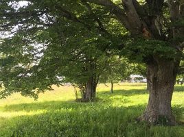  Terreno (Parcela) en venta en Chile, Coihaique, Coihaique, Aisén del General Carlos Ibáñez del Campo, Chile