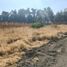 Land for sale in Atenco, Mexico, Atenco