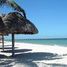 在Progreso, Yucatan出租的 土地, Progreso