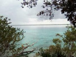 Terrain à vendre à Othon P Blanco, Quintana Roo, Othon P Blanco