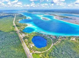  Grundstück zu verkaufen in Othon P Blanco, Quintana Roo, Othon P Blanco