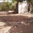  Grundstück zu verkaufen in Othon P Blanco, Quintana Roo, Othon P Blanco