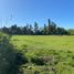  Land for sale in Chile, Chillan, Diguillin, Nuble, Chile
