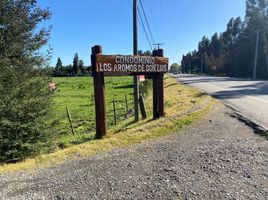  Land for sale in Chile, Chillan, Diguillin, Nuble, Chile