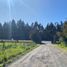  Land for sale in Chile, Chillan, Diguillin, Nuble, Chile