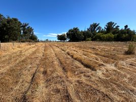  Land for sale in Chile, Chillan, Diguillin, Nuble, Chile