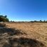  Land for sale in Chile, Chillan, Diguillin, Nuble, Chile