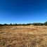  Land for sale in Chile, Chillan, Diguillin, Nuble, Chile