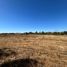  Land for sale in Chile, Chillan, Diguillin, Nuble, Chile