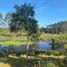 Terrain for sale in Mariquina, Valdivia, Mariquina