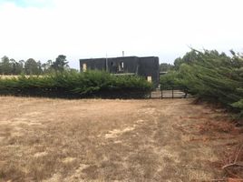  Terreno (Parcela) en venta en Cardenal Caro, Libertador General Bernardo O'Higgins, Pichilemu, Cardenal Caro