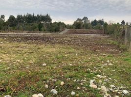  Land for sale in Chile, Puerto Montt, Llanquihue, Los Lagos, Chile