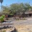  Land for sale in Miacatlan, Morelos, Miacatlan