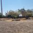  Land for sale in Miacatlan, Morelos, Miacatlan