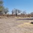  Land for sale in Miacatlan, Morelos, Miacatlan