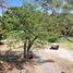 5 Bedroom House for rent in Miacatlan, Morelos, Miacatlan, Morelos