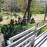 5 Bedroom House for rent in Miacatlan, Morelos, Miacatlan, Morelos
