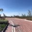  Land for sale in Villa De Cos, Zacatecas, Villa De Cos, Zacatecas