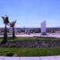  Land for sale in Villa De Cos, Zacatecas, Villa De Cos, Zacatecas