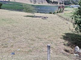  Terreno (Parcela) en venta en Choconta, Cundinamarca, Choconta