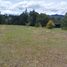  Land for sale in Rionegro, Antioquia, Rionegro