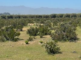  Terreno (Parcela) en venta en Chile, Coquimbo, Elqui, Coquimbo, Chile