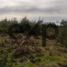  Terreno (Parcela) en venta en Chile, Bulnes, Diguillín, Ñuble, Chile