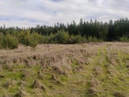  Terreno (Parcela) en venta en Chile, Bulnes, Diguillín, Ñuble, Chile