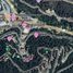  Land for sale in Arteaga, Coahuila, Arteaga