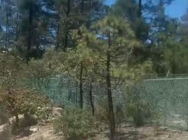  Land for sale in Arteaga, Coahuila, Arteaga
