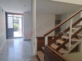 4 chambre Appartement for rent in Benito Juarez, Mexico City, Benito Juarez