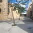 3 Schlafzimmer Wohnung zu vermieten in Merida, Yucatan, Merida