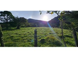  Terreno (Parcela) en venta en Chinacota, Norte De Santander, Chinacota