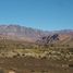  Land for sale in Tinogasta, Catamarca, Tinogasta