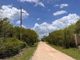  Grundstück zu verkaufen in Conkal, Yucatan, Conkal