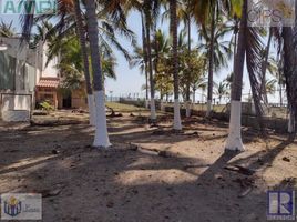  Terrain for sale in San Blas, Nayarit, San Blas