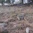  Terreno (Parcela) en venta en Chapala, Jalisco, Chapala