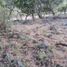  Terreno (Parcela) en venta en Chapala, Jalisco, Chapala