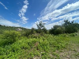  Land for sale in Santa Maria, Cordoba, Santa Maria