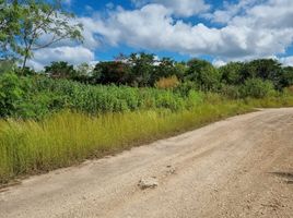  Grundstück zu verkaufen in Merida, Yucatan, Merida, Yucatan